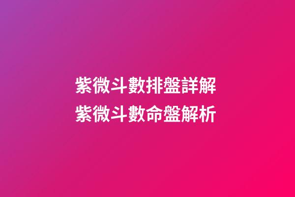 紫微斗數排盤詳解 紫微斗數命盤解析-第1張-觀點-玄機派